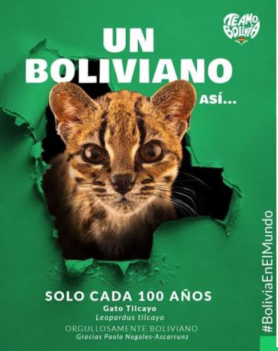 Una de las primeras imágenes de Tilcayo